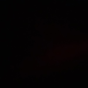 Fundraising Page: chase alfieri